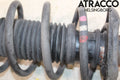 Coil Spring Shock Absorber Assembly