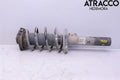 Coil Spring Shock Absorber Assembly