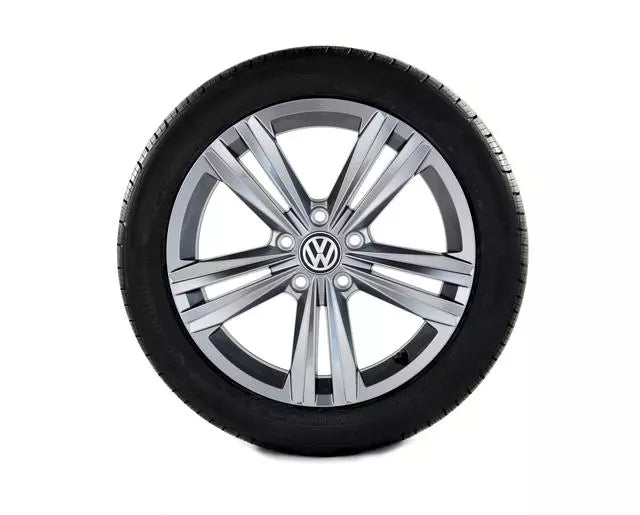 17x7 Inch 10-Spoke Painted Grey Alloy Wheel
