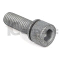 Haldex Drain Plug M10x30