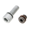 Haldex Drain Plug M10x30