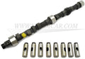 Camshaft Kit with Lifters for B18B B18D B20B