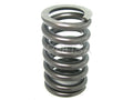 Valve Spring
