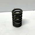 Valve Spring
