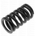 Valve Spring