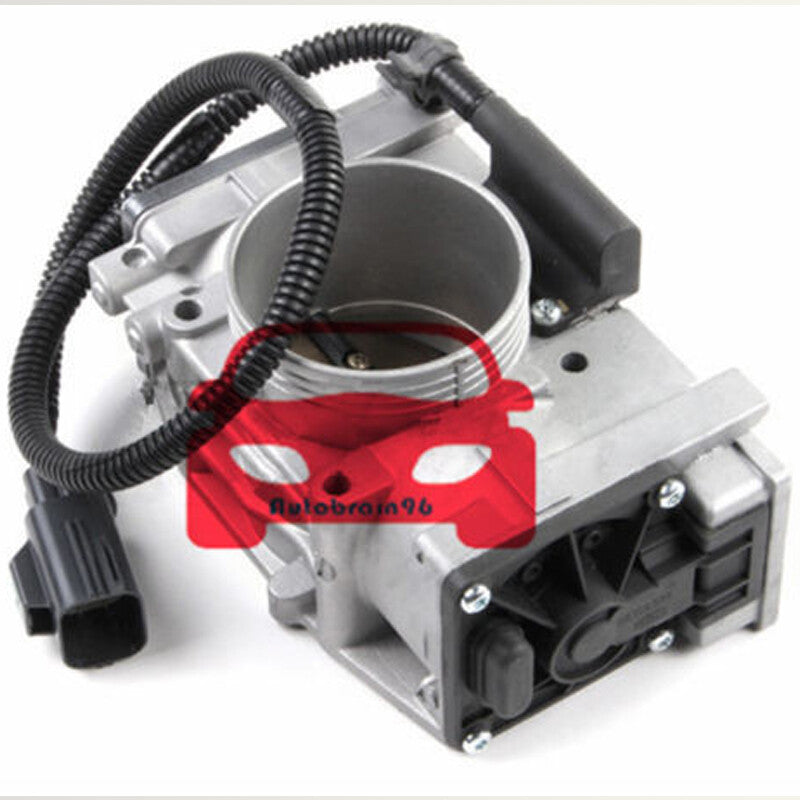 Throttle Body Assembly