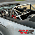 4-Point Bolt-In Roll Bar