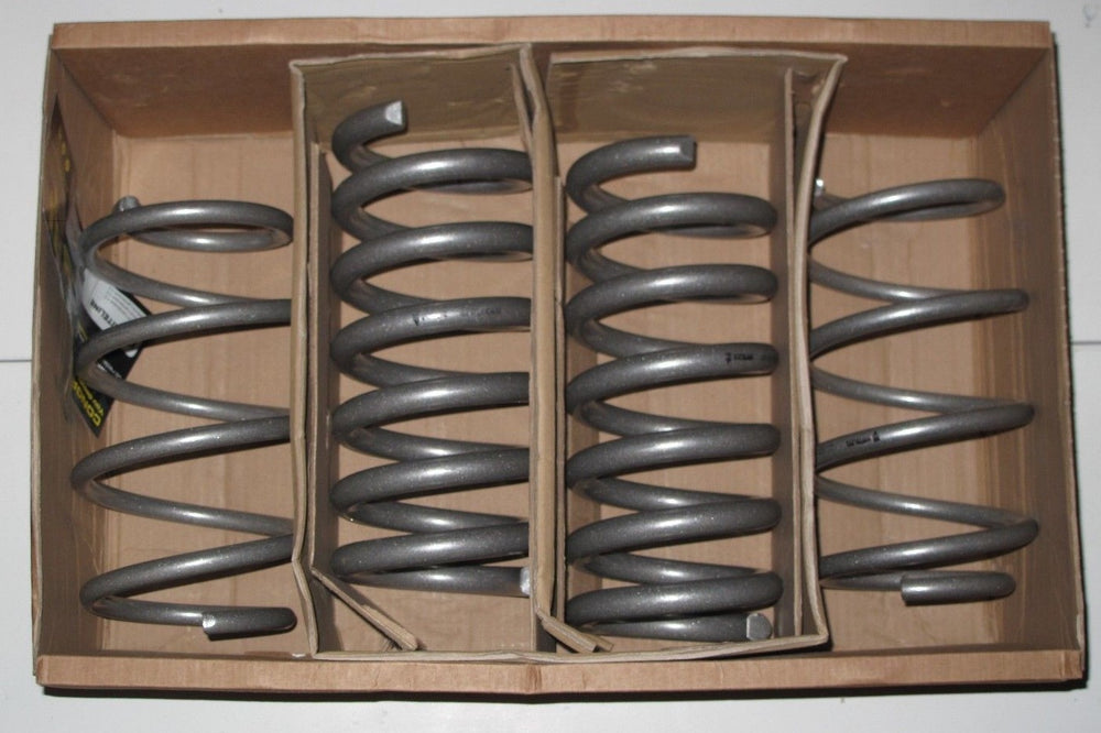 Lowering Spring Kit