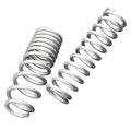 Lowering Spring Kit