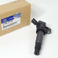 Ignition Coil Assembly