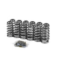 24V Valve Springs and Retainer Kit