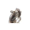 2.5" Stainless Steel Downpipe Kit w/ High-Flow Race Cat