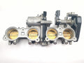 Throttle Body Assembly