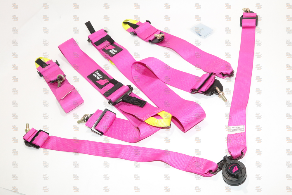 6-Point FIA Harness