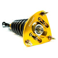 Champion Series 33-Way Adjustable Coilover Kit