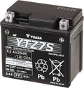 AGM Battery