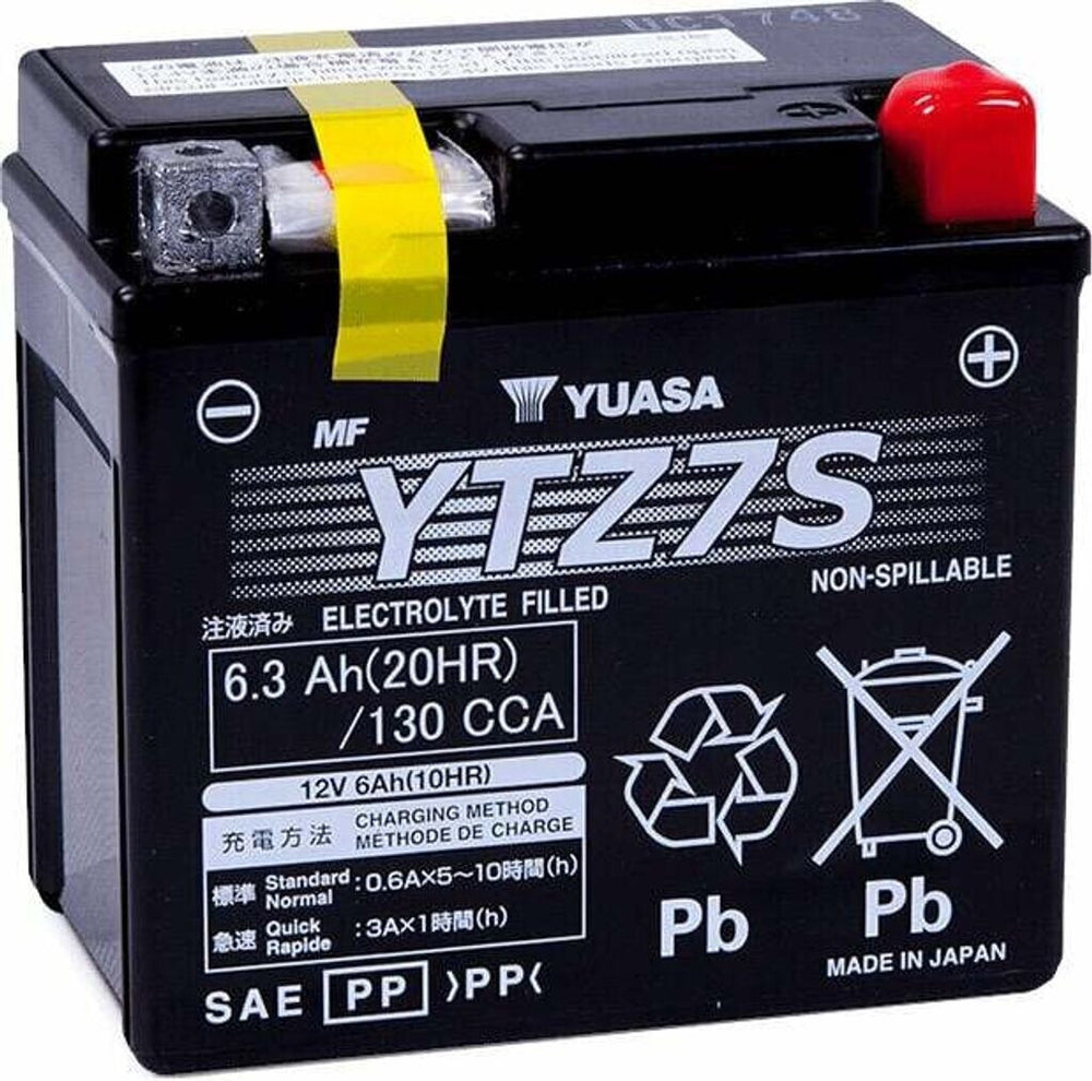 AGM Battery