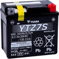 AGM Battery