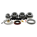 Differential Master Overhaul Kit