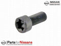 Flywheel Bolt