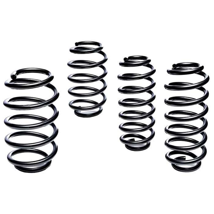 Lowering Springs