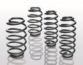 Lowering Springs
