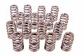 PAC Racing Ovate Beehive Valve Spring Set