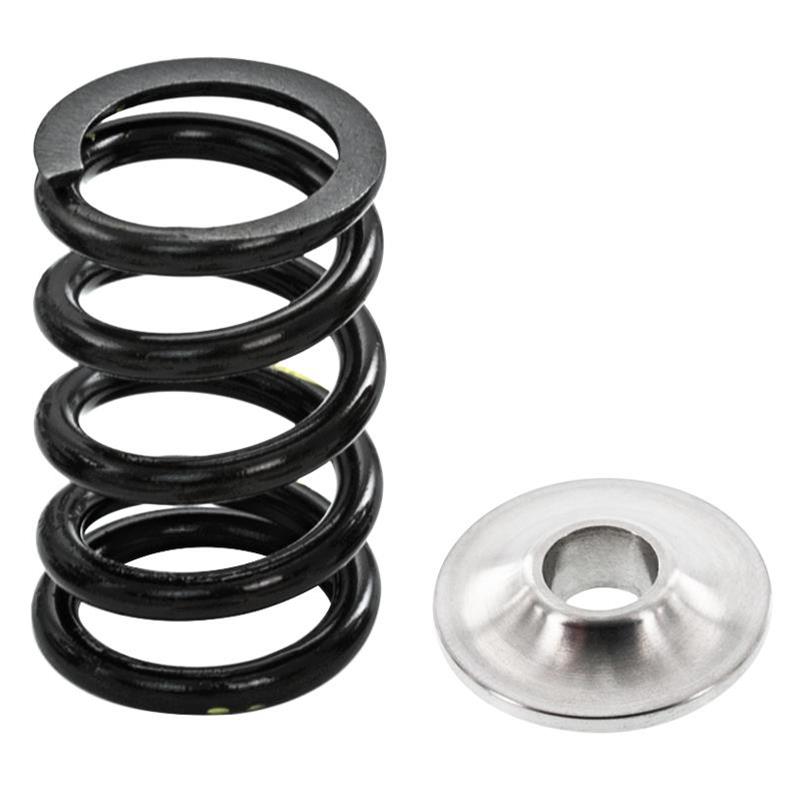 82# LTG Valve Springs with Titanium Retainers