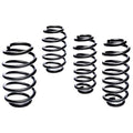 Pro-Kit Lowering Springs