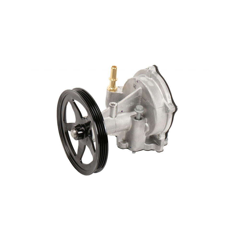 Vacuum Pump Assembly