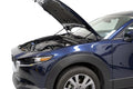 QuickLIFT PLUS Hood Struts