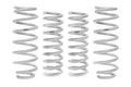 Eibach Drag Launch Kit (Competition Springs) for 2015-2020 Dodge Challenger SRT Hellcat