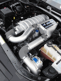 2006-2008 6.1L SRT8 Charger Magnum 300C w/V-3 Si-Trim AND Charge Cooler Satin