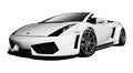 2004-2008 Lamborghini Gallardo AF-1 Wide Body Kit ( GFK ) - 9 Piece - Includes AF-1 Wide Body Front Bumper Cover (109602) AF-1 Wide Body Side Skirt Rocker Panels (109603) AF-1 Wide Body Rear Bumper Cover (109604) AF-1 Wide Body Front Fender Flares (109605
