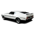 LOUV MUSTANG FASTBACK