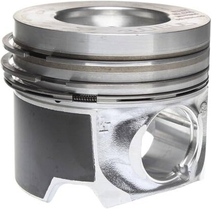 Piston With Rings