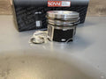 Piston With Rings