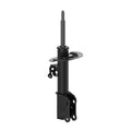 OESPECTRUM PREMIUM STRUT