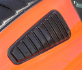 ABS LOUVER SD WNDW