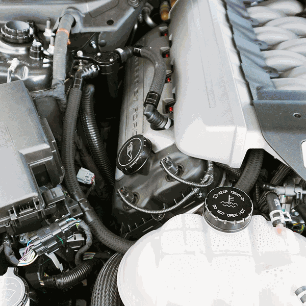 UPR 15-17 Mustang 5.0 Remote Mount - Satin 5028-98-RM