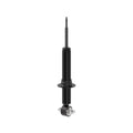 OESPECTRUM PREMIUM STRUT