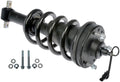 LOADED STRUT ASSEM
