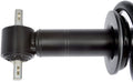 LOADED STRUT ASSEM