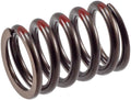 VALVE SPRINGS50 PCS PER BOX