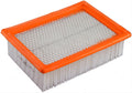 FRAM CA11456 PANEL AIR FI
