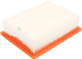 FRAM CA11456 PANEL AIR FI