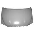 CAPA HOOD PANEL ASSY ALL TOYOTA SEQUOIA 08C