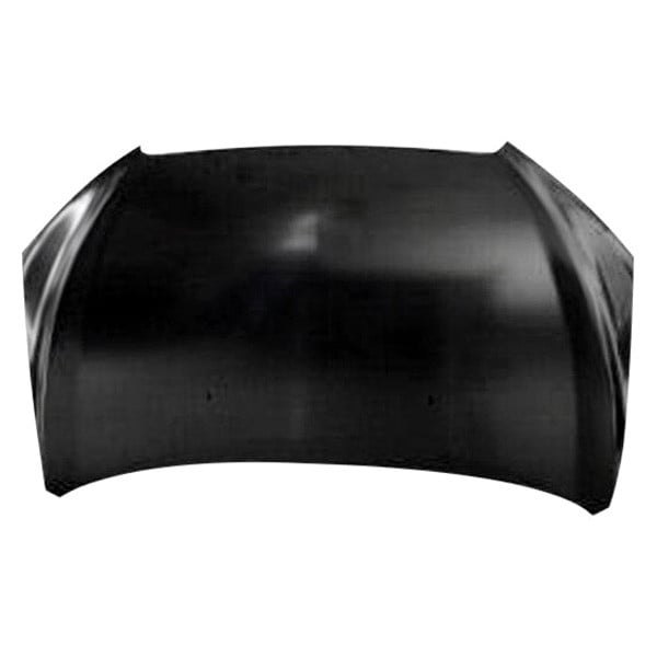 CAPA HOOD PANEL ASSY SEDAN SONIC 1216