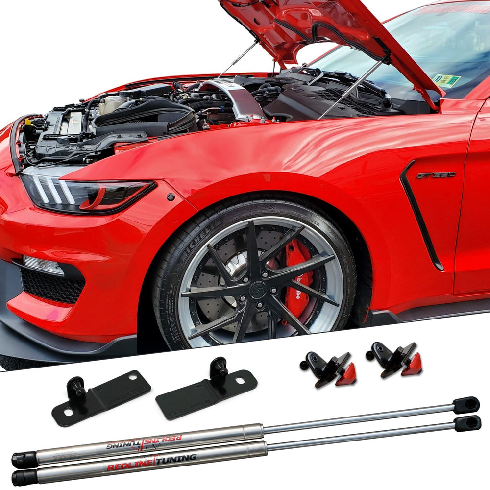 Bolt-In Hood Strut Kit