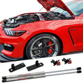 Bolt-In Hood Strut Kit